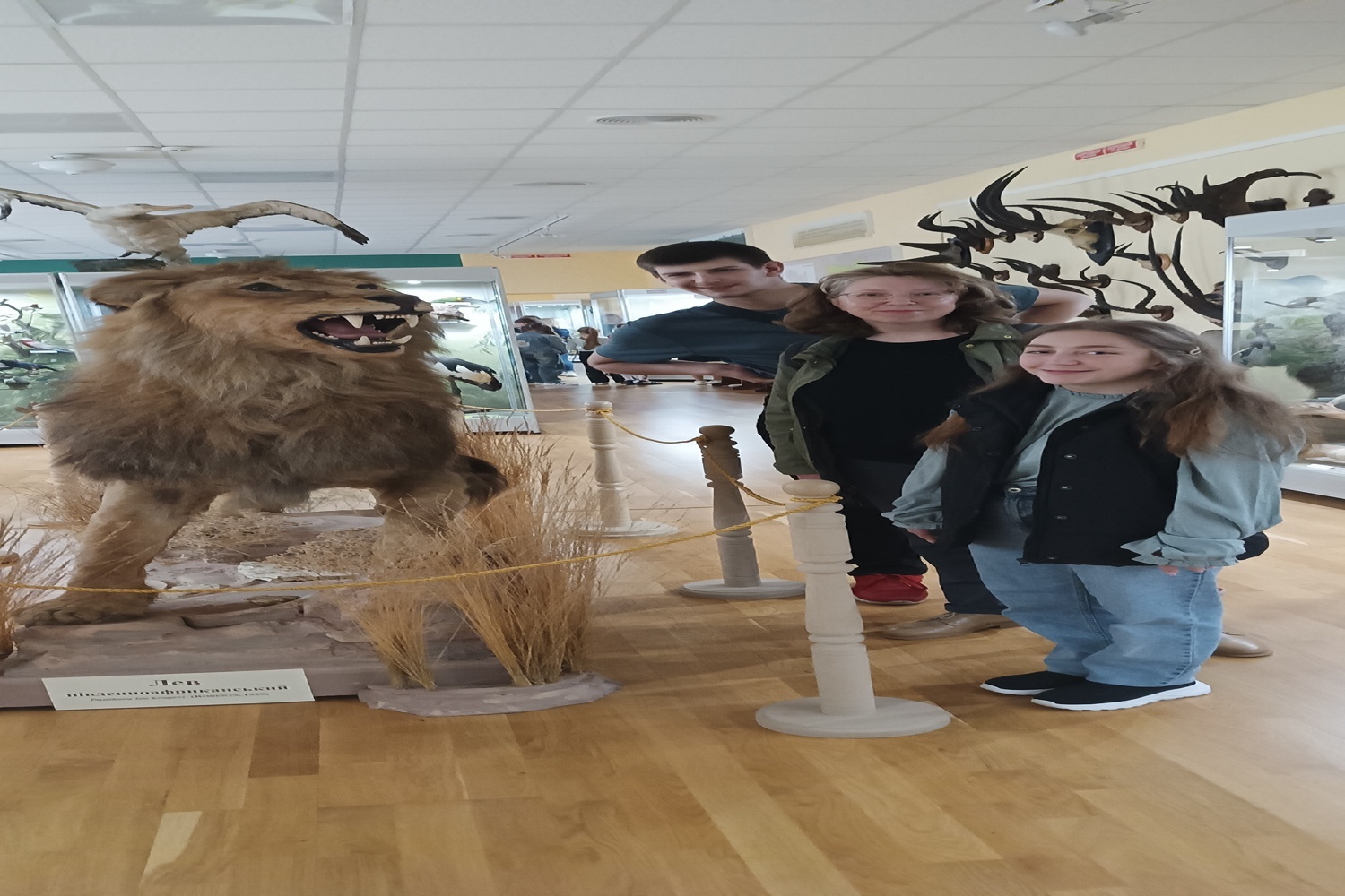 Ст_ВМ2, Корольова_О, виїзне,трав_25_