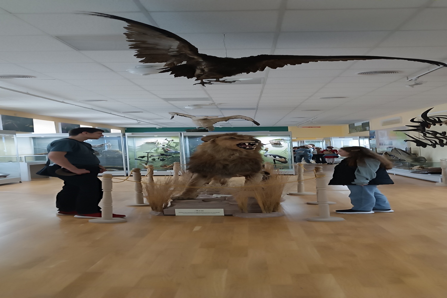 Ст_ВМ2,виїзне,трав_25