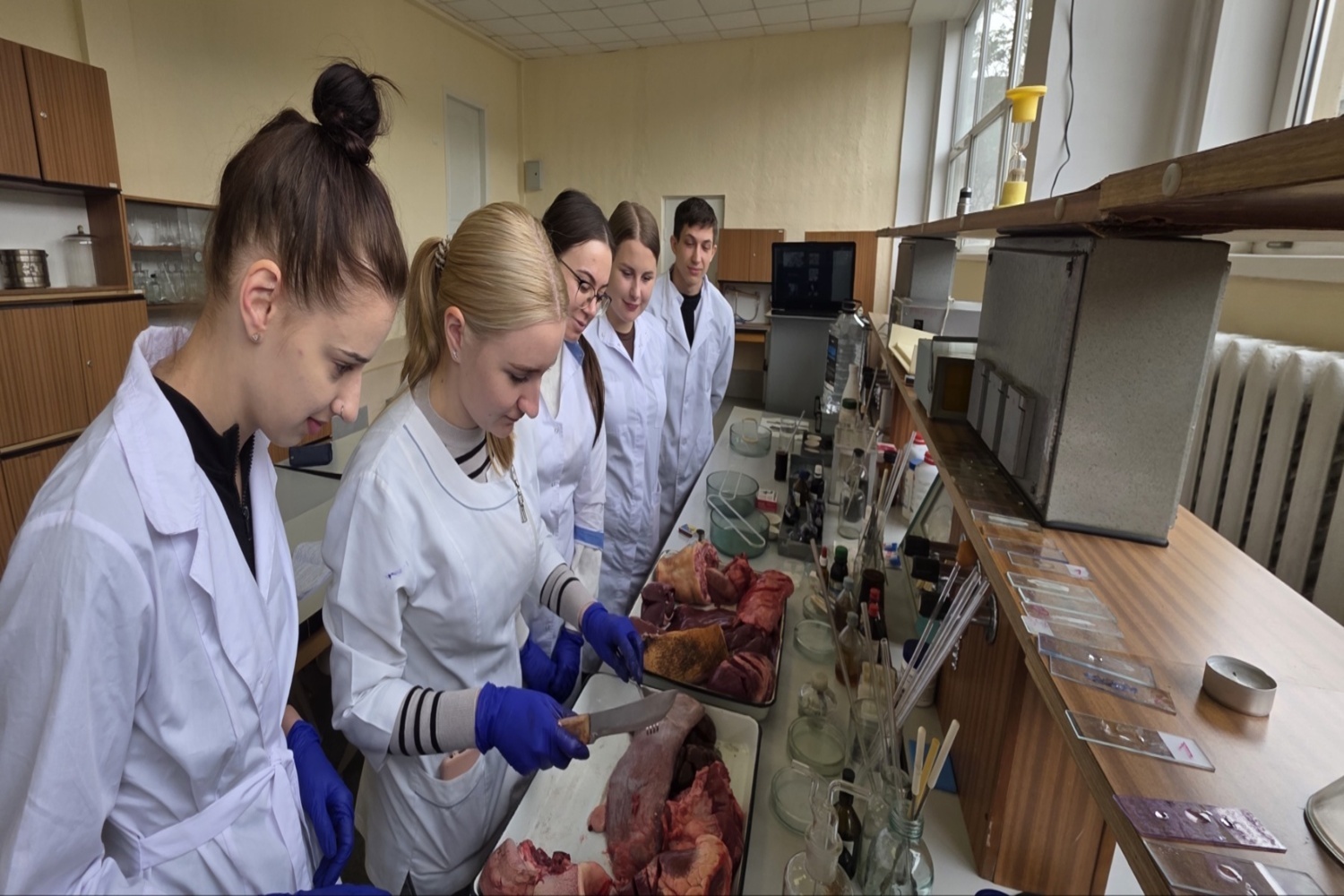 зображення_viber_2026-01-12_18-39-10-280