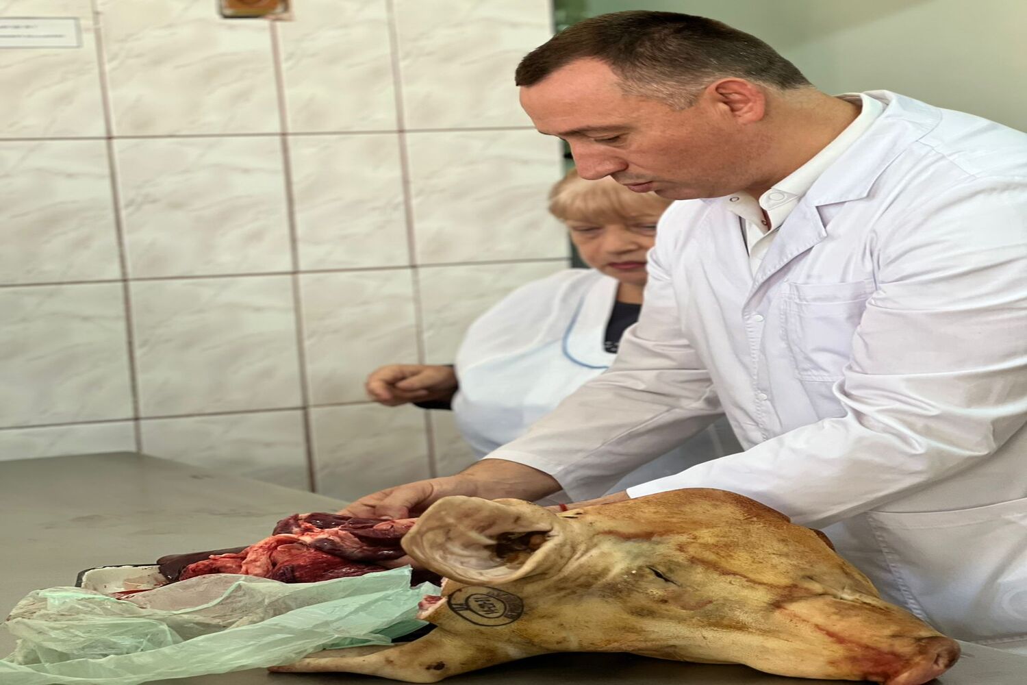 зображення_viber_2026-01-12_18-39-10-488