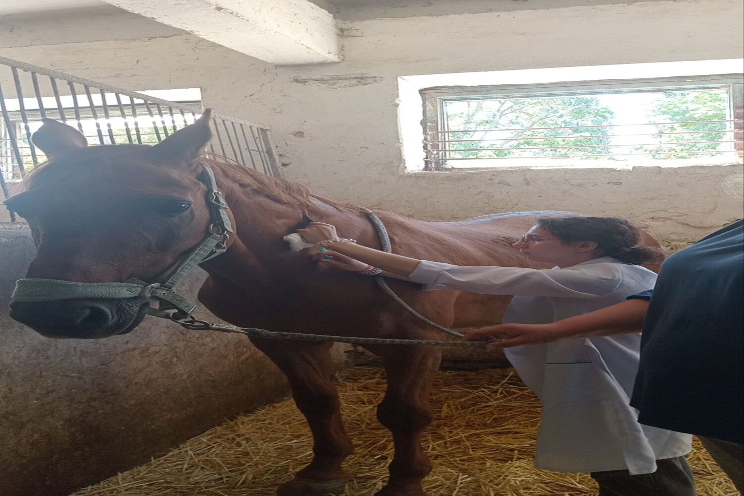 зображення_viber_2026-01-12_18-40-13-236