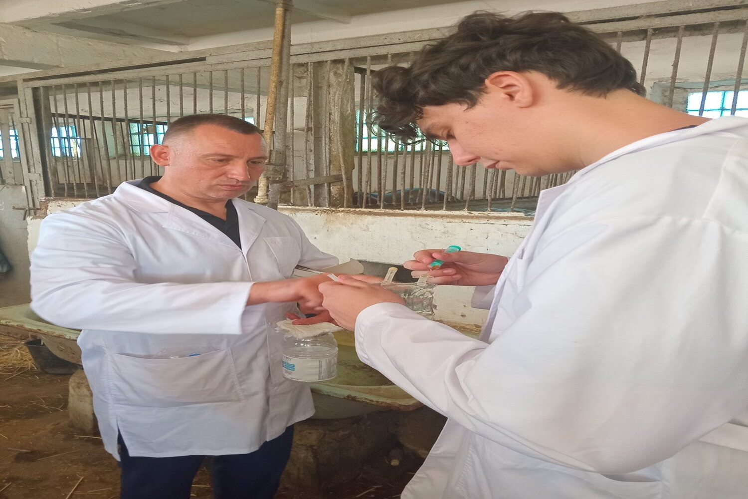 зображення_viber_2026-01-12_18-40-13-361