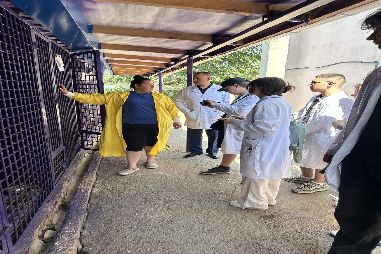 зображення_viber_2026-01-12_18-42-07-010