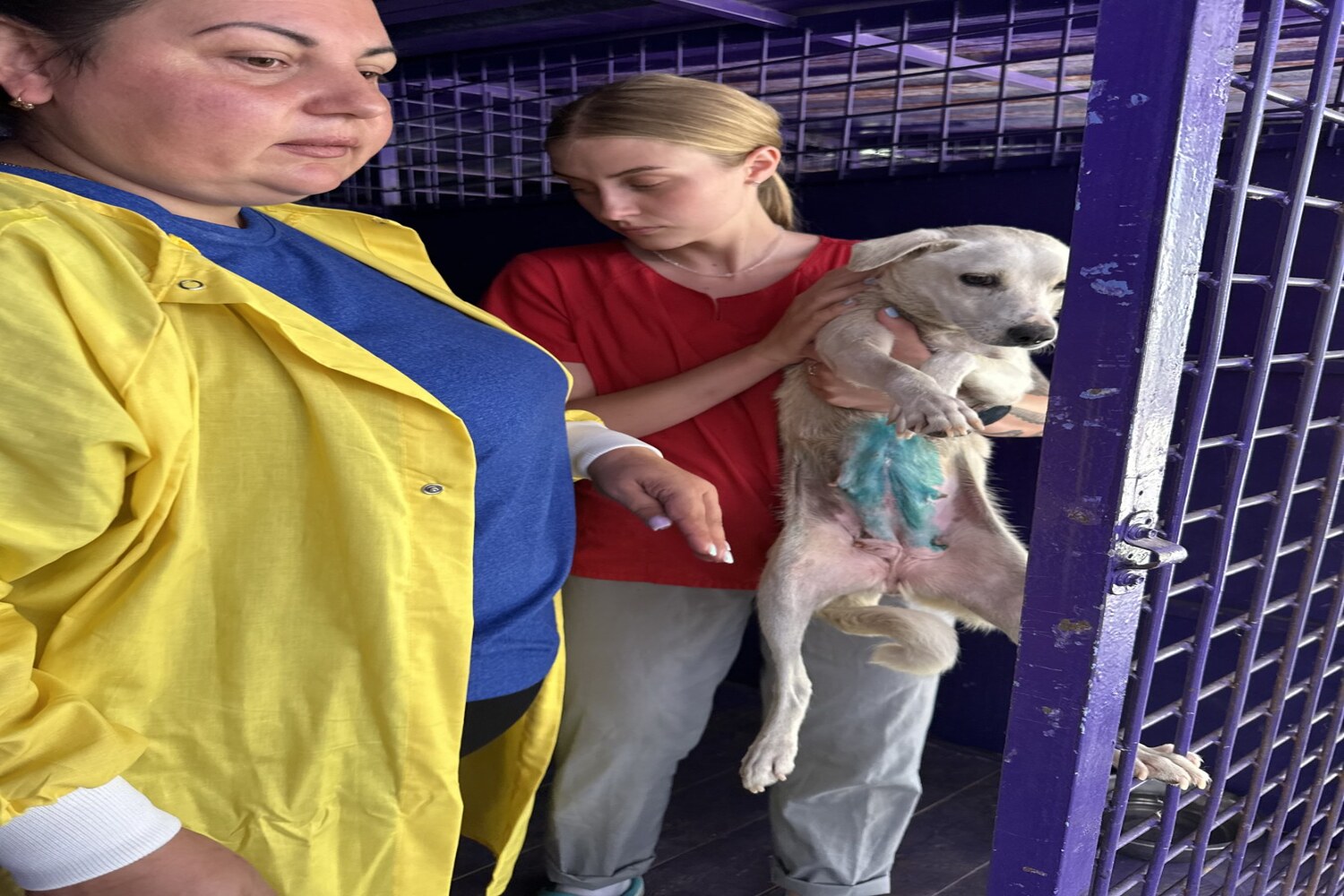 зображення_viber_2026-01-12_18-42-07-054