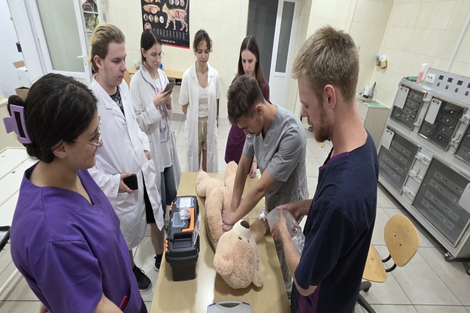 зображення_viber_2026-01-12_18-44-00-643