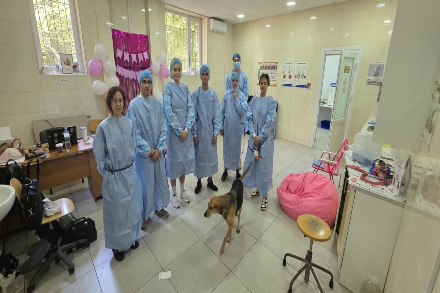 зображення_viber_2026-01-12_18-44-44-511