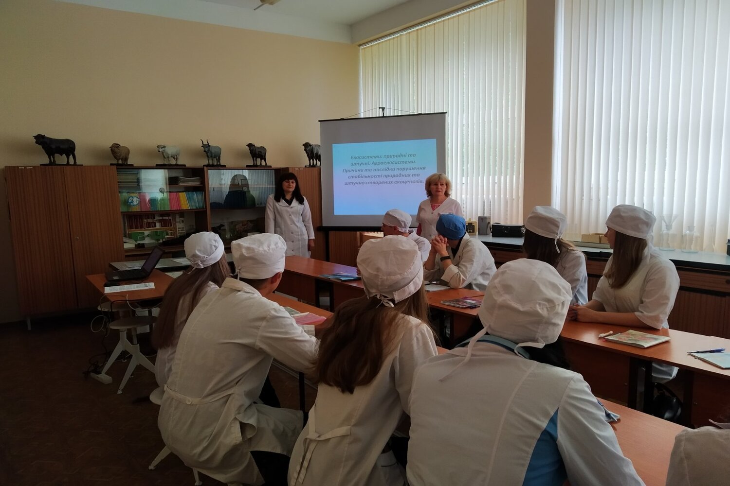 изображение_viber_2021-06-01_09-03-00