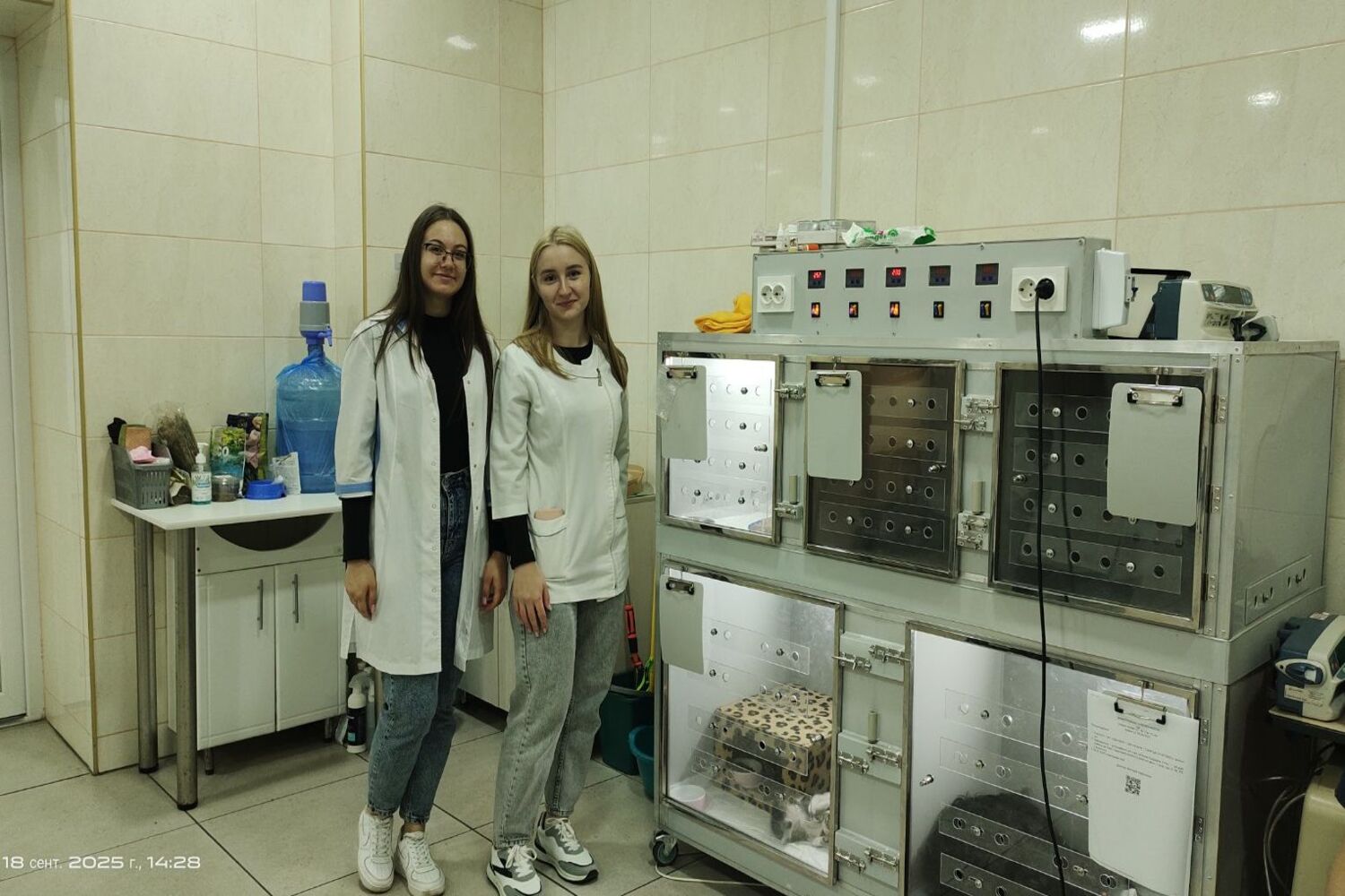 изображение_viber_2025-09-22_20-00-57-692